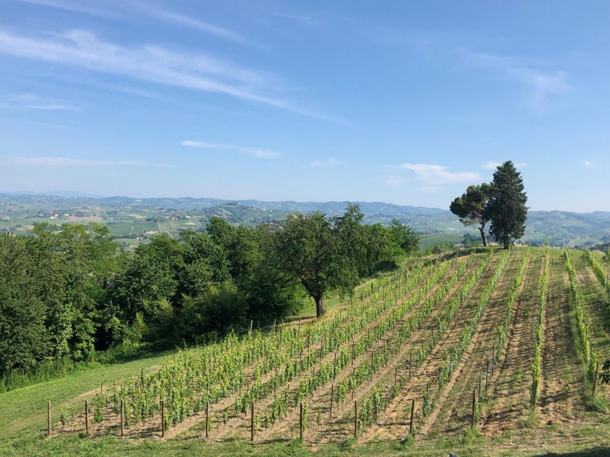 Cascina San Michele Bed & Breakfast Costigliole d'Asti Exterior foto