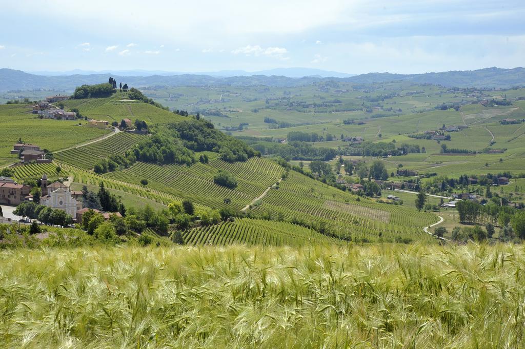 Cascina San Michele Bed & Breakfast Costigliole d'Asti Exterior foto