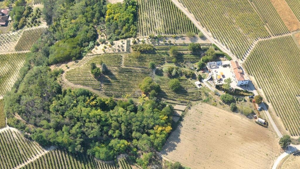 Cascina San Michele Bed & Breakfast Costigliole d'Asti Exterior foto